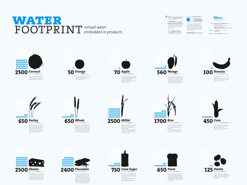 Water Footprint Infographic